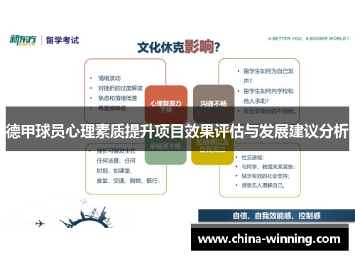 德甲球员心理素质提升项目效果评估与发展建议分析