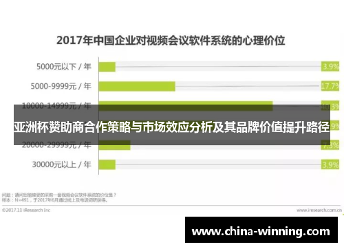 亚洲杯赞助商合作策略与市场效应分析及其品牌价值提升路径