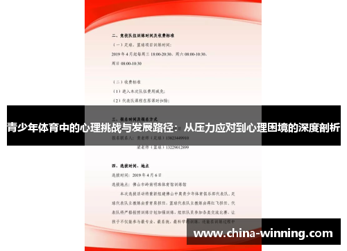 青少年体育中的心理挑战与发展路径：从压力应对到心理困境的深度剖析