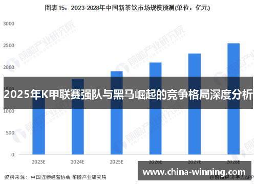 2025年K甲联赛强队与黑马崛起的竞争格局深度分析