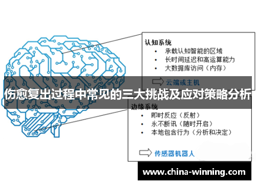 伤愈复出过程中常见的三大挑战及应对策略分析