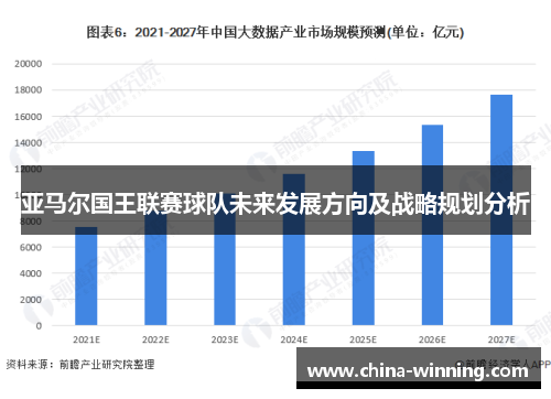 亚马尔国王联赛球队未来发展方向及战略规划分析
